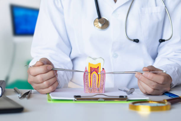 Best Broken or Cracked Tooth Emergency Dentist in Salado, TX